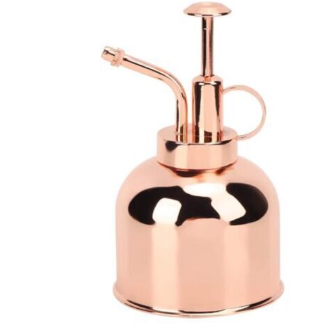Pair - Vaporisateur d'Arrosage pour Plantes, Arrosoir Vintage pour Arroser de Petites Plantes de la Maison, Bureau(Or Rose) (1/5)