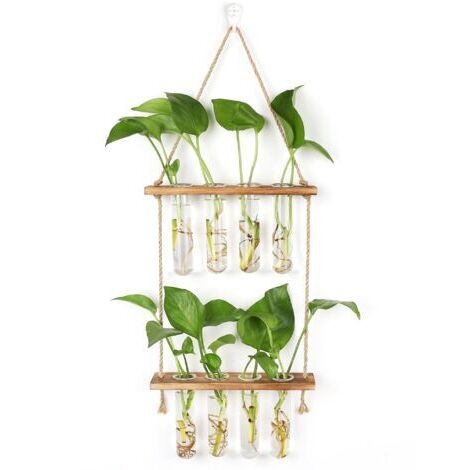 Pair - Station de Propagation avec Support en Bois Vase Mural,Verre Suspendu pour Plantes Hydroponiques (1/4)