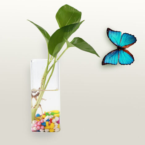 Glaswandvase Nr. 5, Hängevase für Pflanzen – Hydrokultur, Aquarium-Dekoration, transparent, 15 x 6 x 6 cm – Wohnaccessoires (1/5)