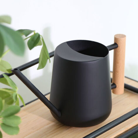 Araisonoir Indoor 1LS-10.4 - Design-Gießkanne aus Edelstahl und Naturholz (16,4 cm Auslauf, schwarz, 465 g)