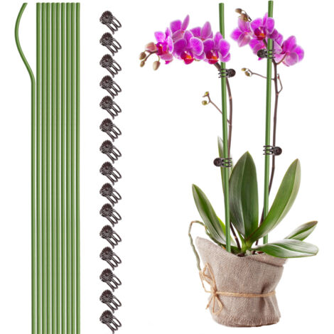 Selbsttragende Pflanzenstützen [Marke] Robuste, kunststoffummantelte Stütze, unsichtbare Wachstumshilfe für Blumen, Orchideen und Gemüse in Blumenerde. Ton, langlebig, Eisen, 10 Stäbe, 15 Clips, geeig