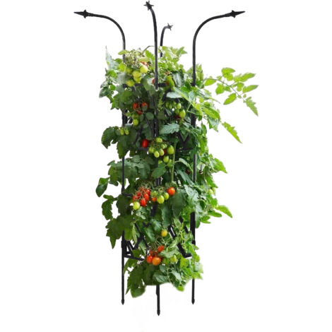 Metallene Pflanzenstütze für Kletterpflanzen mit vertikalem Topfhalter für Tomaten und Kürbisgewächse, für den Innen- und Außenbereich (1/5)