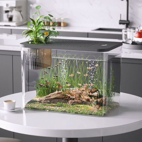 Tisch-Aquarium [Typ] [Material: Kunststoff] [Abmessungen: 31,6 x 18 x 22,5 cm] [Transparent] [1 Stück] [Ökologisches Aquarium, Kunststoff-Aquarium, kleines Aquarium, Tisch-Aquarium] (1/5)