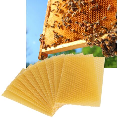 [Bienenstock-Mittelwand] WaxBees 10 Stück - Docht für Imkereibedarf, Möbelpolitur