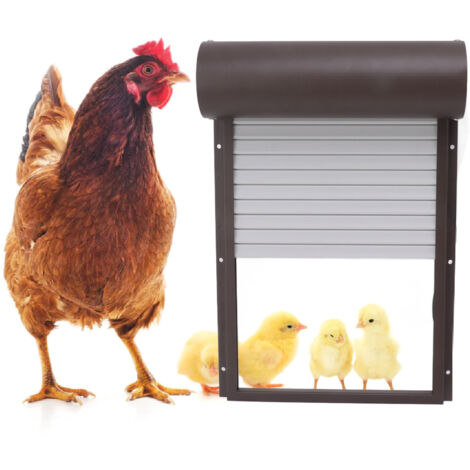 Automatische Hühnerstalltür mit Fernbedienung, Programmierung und Lichterkennung – 37,3 x 24,7 cm, Metall & Kunststoff, Braun, US-Steckeradapter 100–240 V (1/5)