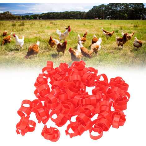 Kennzeichnungsringe für Hühnerschenkel - Wiederverwendbarer PP-Kunststoff - 25 mm Rot - 100 Stück - für Huhn, Ente, Gans (1/5)