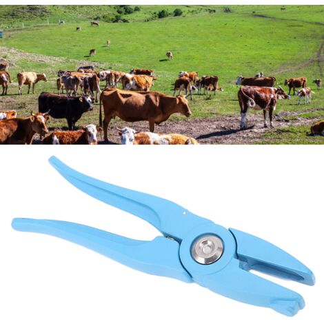 Kastrations-Bandingwerkzeug Aus Kunststoff & Edelstahl – Mit 100 Gummiringen, Für Schweine, Rinder, Schafe, Ziegen & Co.