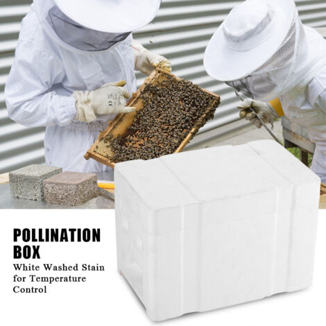 WINGOFFLY Bienenstock 5 Ebenen Aus Zedernholz – Komplettes Set 34 X 61 Cm, Mit Führungsplatte Und Käfig