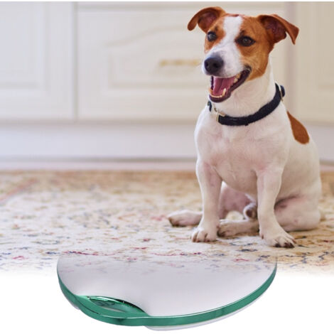 Intelligenter elektronischer Tracker mit Diebstahlschutz, WLAN, Bluetooth und App-Funktionalität Kleiner Heim-Tracker für Hunde, 39 mm PC, weißes Modell