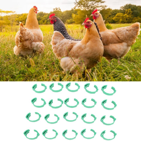 Hühner-Identifikationsringe, 100 Stück verstellbare DIY-Hühnerbeinringe für Enten und Tauben, PP-Material, 18–21 mm, grün (1/5)