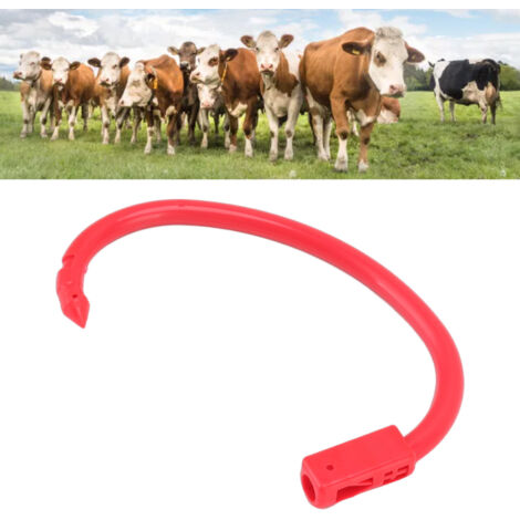 Kunststoff-Nasenring für Rinder, 10 Stück, große Größe, Zugring für Nutztiere, robustes Design und einfache Montage (1/5)
