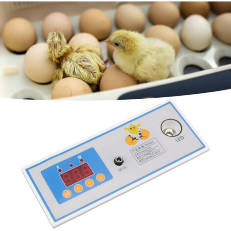 Automatischer digitaler Temperatur- und Feuchtigkeitsregler für Eierbrutgeräte (30 W, 12 V DC)