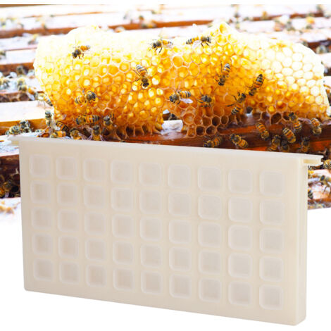 Multifunktionale Bienenzuchtbox – Robuster, ausbruchsicherer Kunststoffkäfig zum Transport und zur Aufzucht von Bienenköniginnen, Maße 48,8 x 23 cm