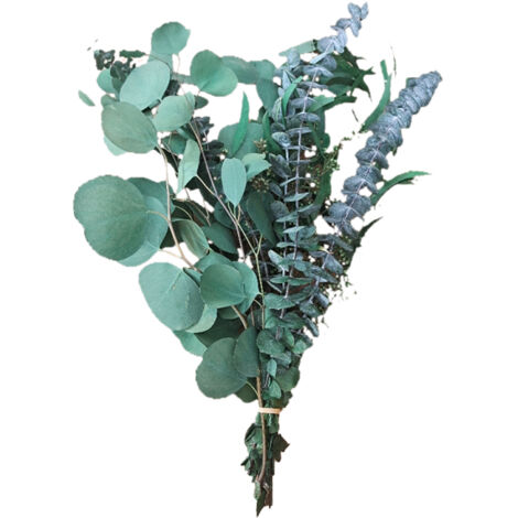 [Konservierter Blumenstrauß] + [Eukalyptus- und Apfelblätter] + [Blumenarrangement] + Strauß aus konserviertem Eukalyptus und Apfelblättern – 12 Zweige für Blumendekorationen (1/5)