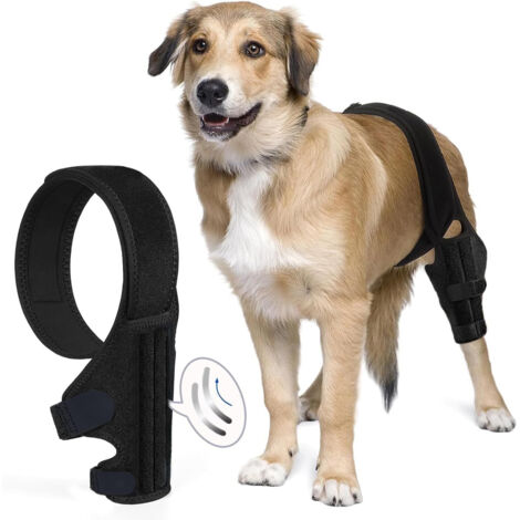 Hundeorthese, [非知名品牌], Größe L, für Kreuzbandluxation und Gelenkschmerzen. Verstellbares Neoprenmodell für Vorder- und Hinterbeine zur Rehabilitation nach Verletzungen. (107 g)