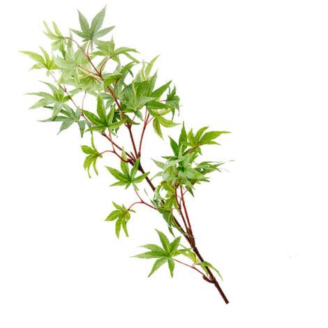 Künstlicher Ahornzweig [Modell G34] – Seidenblätter, Kunststoffzweige (83 cm, 34 Blätter, grün) für die Herbstdekoration (1/5)