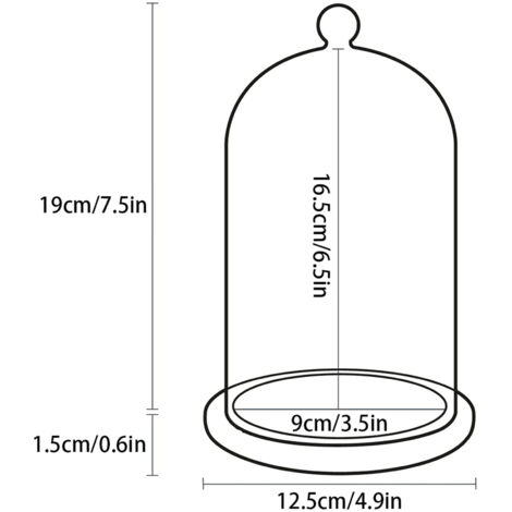 Campana decorativa de cristal con base de bambú – campana de almacenamiento para flores, adornos y objetos de colección valiosos – Altura: 20,5 cm, Diámetro: 12,5 cm