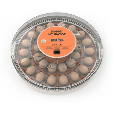 Couvéze – Incubadora automática para 30 huevos: iluminación LED, control de humedad y temperatura, ABS transparente, 40 cm – Para la incubación de pollos, pavos, patos y codornices