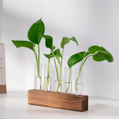 Estación de propagación de plantas: marco de madera y tubo de ensayo de vidrio terrario decorativo de mesa con 5 tubos para esquejes y flores. (1/5)
