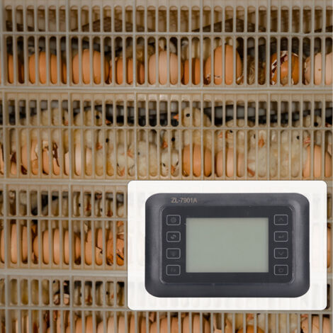 Controlador automático de incubadora ZL-7901A ABS con control de temperatura/humedad para huevos, digital (100-240V)