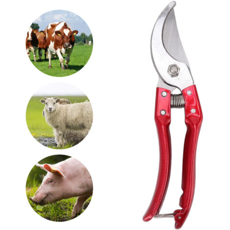 [Cortauñas para mascotas] + Cortauñas multifuncional + Profesional + [Rojo, acero inoxidable, ergonómico, 288 g, 21,5 cm] (1/5)