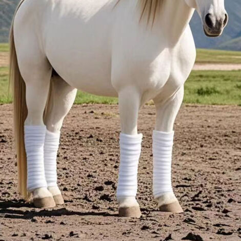 [Equipamiento ecuestre] Vendas ligeras de forro polar para proteger las patas de los caballos – Juego de 4 vendas suaves (300 cm x 10 cm) para establo y doma clásica – Blanco (1/5)
