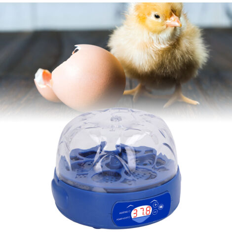Incubadora automática para 6 huevos, 15 W, azul, con volteador automático de huevos, ovoscopia, control digital de temperatura, incubadora para pollos, enchufe europeo de 100–240 V.