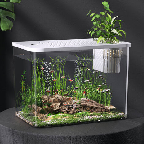 Kit para acuario DIY – Recipiente de plástico transparente para peces (peces dorados, peces betta), camarones y tortugas – Modelo mini (31,6 cm) con tapa – Ecológico y decorativo