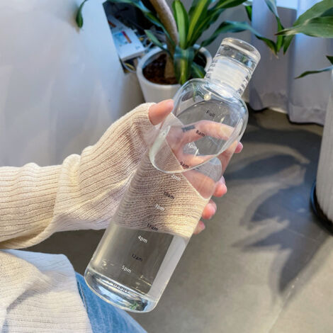 Hochwertiger Wasserbecher aus Borosilikatglas mit Stundenskala, 500 ml/700 ml, transparent/aurora/rauchgrau, 360°-Auslaufschutz im Lieferumfang enthalten. (1/5)