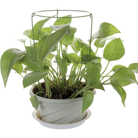 Soporte trepador verde fabricado en metal y plástico: enrejado de 28 cm de altura para una fácil fijación y un crecimiento óptimo, estable y resistente a la corrosión. (1/5)