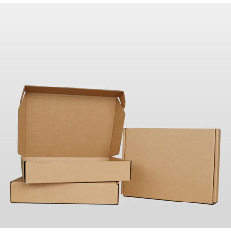 Stabile Kraftkartonverpackung (B-Flux) – Abmessungen 25 x 20 x 7 cm für 220428LW03-5 und 220428LW03-1
