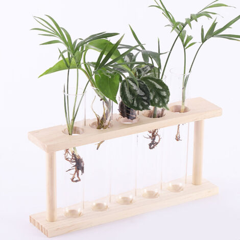 Invernadero moderno para plantas: terrario transparente con tubos de ensayo y soporte de madera. Incluye 5 tubos de ensayo para observar el crecimiento de las raíces y es fácil de limpiar. Dimensiones (1/5)