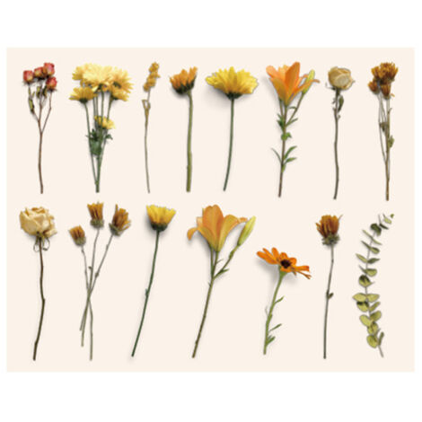 Vintage-Aufkleber mit botanischen Motiven, 30 Bögen mit Blumen- und Pflanzenaufklebern, Papier zum Scrapbooking, Tagebuchschreiben, Planen, für Laptops und Karten. (1/5)