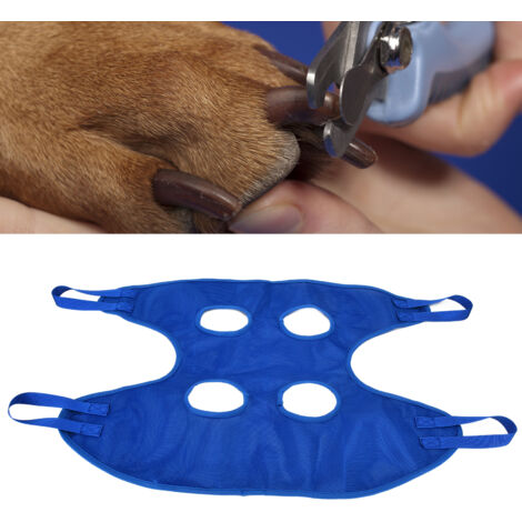 [Pflege-Schlinge] Hammock Helper, Hammock Helper L Blau – Multifunktionale Schlinge zum Baden, Pflegen und Krallenschneiden, aus Netzgewebe und Edelstahl, mit 2 Haken und 1 Hängematte (1/5)