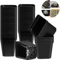Seed Bucket 7 x 5 x 7 cm Black (x50) Reusable Plastic Squares for Nursery, Transplanting and Growing