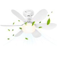6 Blades Ceiling Fan With Light And Remote Control 40W 52CM Dimmable LED White Blades Crystal Shade E27 Socket With Base Box Set Magnetic Element For Bedroom
