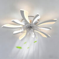 30.7 Inch Modern Ceiling Fan With Lights 52W Dimmable Ultra Quiet 3 Color 6 Speed Smart Fan For Bedroom Kitchen Black