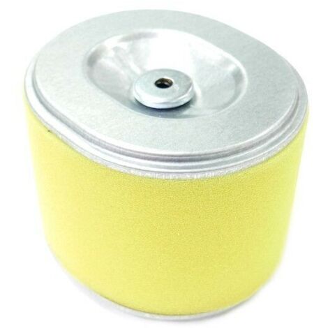 Filtro de aire del motor Honda GX240 y GX270