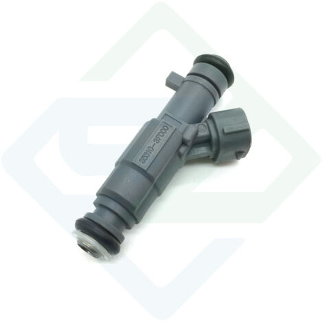 Applicable à l'injecteur de carburant Hyundai Genesis 35310-3F000 (09-11) (1/5)