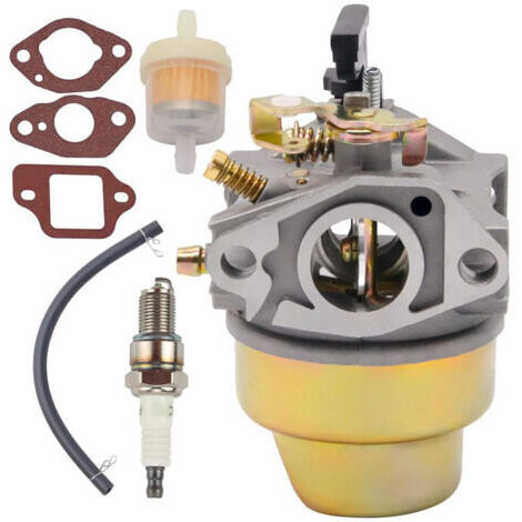Vergaser mit Dichtung und Kraftstofffilter für Honda G150 und G200. Ersetzt die Teilenummern 16100-883-095 und 16100-883-105. (1/5)