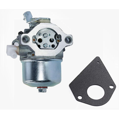 Vergaser 698171 692684 kompatibel mit Briggs & Stratton 495778 494883