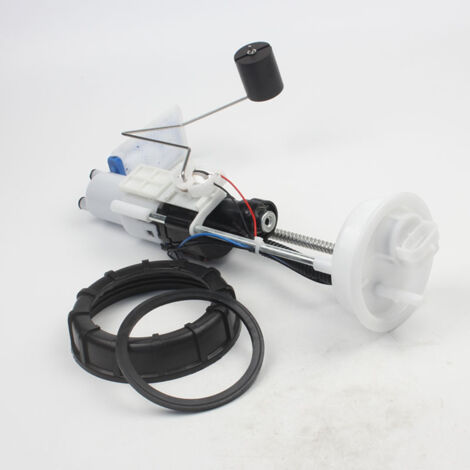 Motorrad-Kraftstoffpumpe kompatibel mit Polaris 2521307 2204852 (1/4)