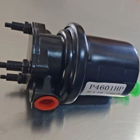 Teile für elektrische Kraftstoffpumpen PH4601HP PH4601 FE0539 SP8115 12V (1/4)