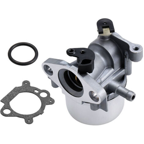 Vergaser für Briggs & Stratton 799866 ersetzt 796707 794304 mit Dichtung