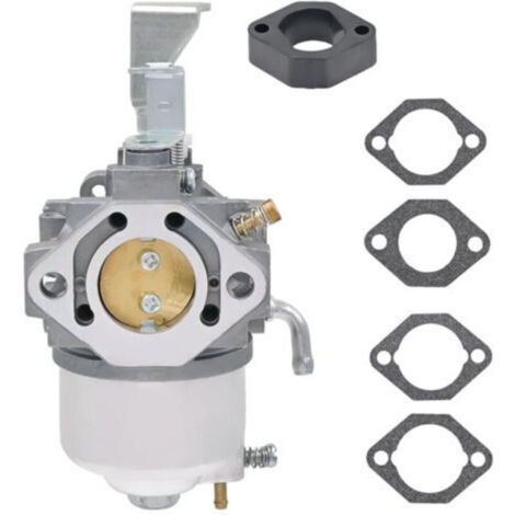 715668 Vergaser für Briggs & Stratton 715671 715670 715443 715312 715318 715505