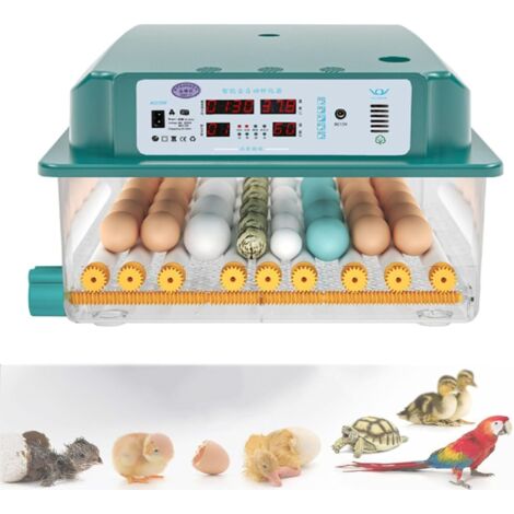 Automatic Egg Incubator 24-36 Eggs, Automatic Egg Incubator, Automatic Egg Turning and Humidity Monitoring, Digital Farm Egg Incubator - RWIncubator and Incubator for Poultry