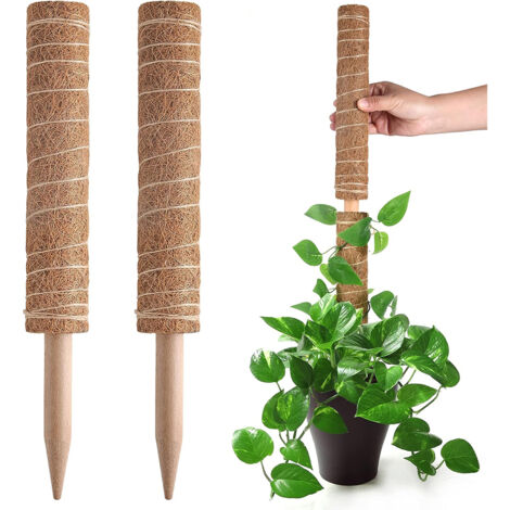 CCYKXA 2 PC Moss Pole, Extendable Plant Sticks Support, Plant Stakes for Indoor Potted Plant, 40cm Coco Potted Plant Trellis for Pothos and Other Climbing Plants (1/5)