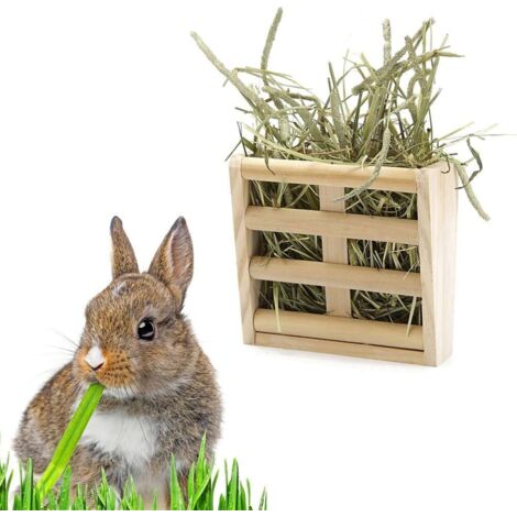 2 in 1 Small Animal Feeder and Hay Rack, Anti-bite Plastic Hay Rack for Rabbits Chinchillas Fat Guinea Pig Hamster (1/5)
