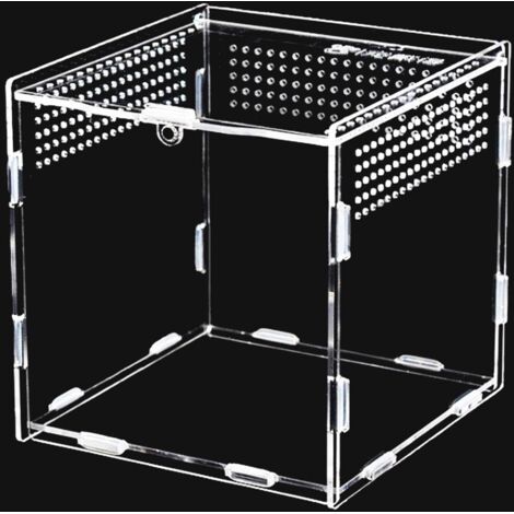 Acrylic Terrarium, 360° Clear Acrylic Container for Spider, Scorpion, Beetle, Praying Mantis, Stick Insect Terrarium Box (1/5)