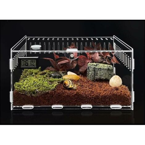 Insect Feeding Box,Reptile Habitat Transparent Breeding Box Breeding Box for Spiderlings Acrylic Terrarium Containers for Lizard Spider Beetle (1/5)